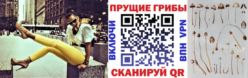 сайты даркнета клад  Баксан  Галлюциногенные грибы GOLDEN TEACHER  цены  
