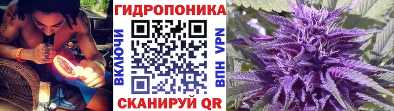 Канабис планчик  Баксан 